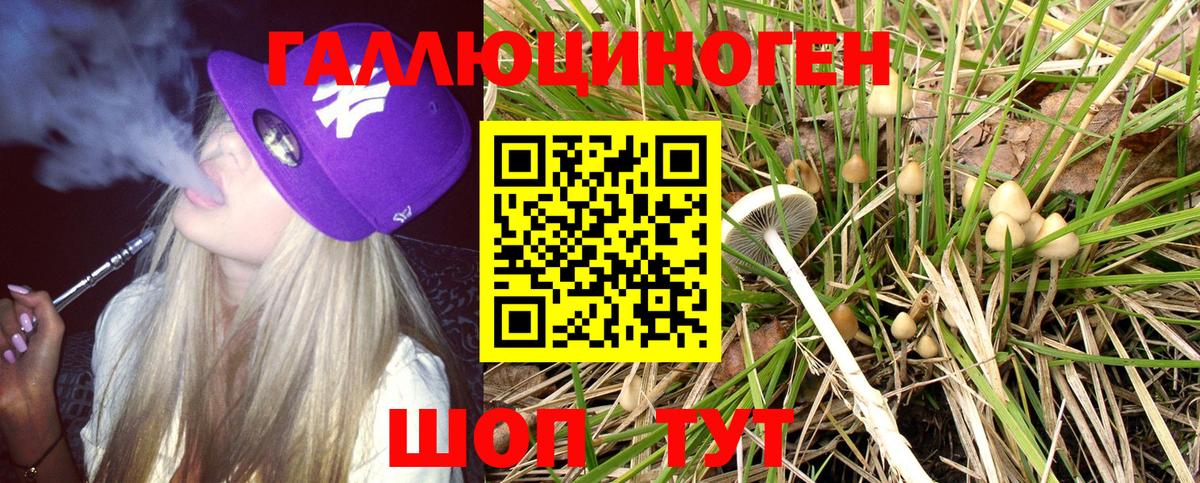 Псилоцибиновые грибы Magic Shrooms Новороссийск