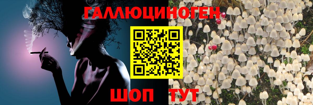 Новороссийск  Галлюциногенные грибы Psilocybine cubensis  Псилоцибиновые грибы мухоморы  Вход с VPN 